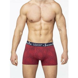 Фото Мужские трусы боксеры бордовые Salvador Dali SD2055-3 