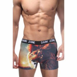 Фото Трусы мужские боксеры с 3D принтом DARKZONE DZN1052