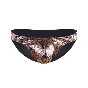 Фото Мужские трусы слипы коричневые DARKZONE DZN6929