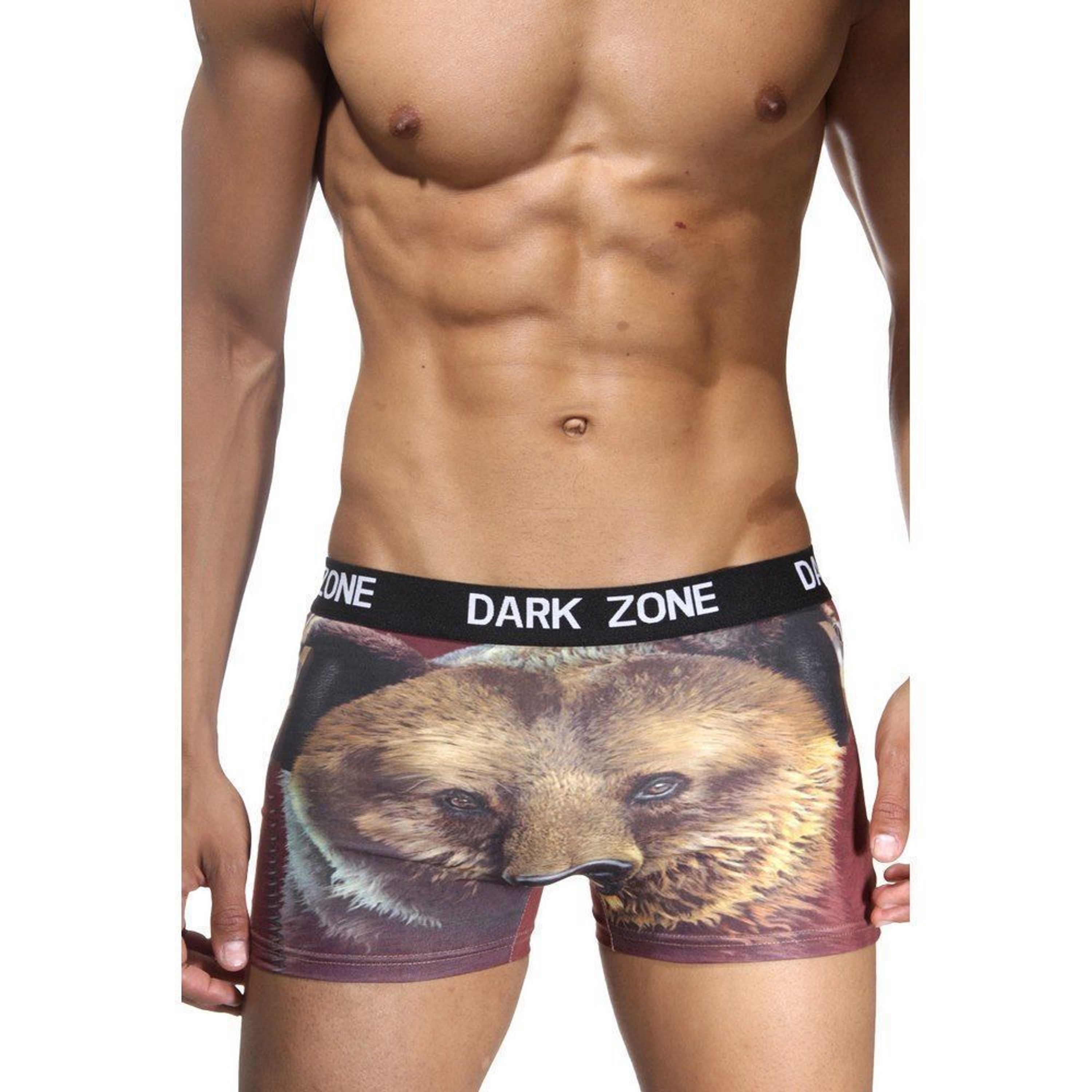 Трусы мужские боксеры с 3D принтом DARKZONE DZN1090 фото 1