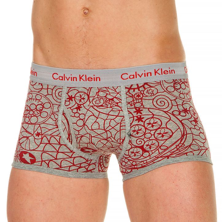 Трусы мужские боксеры серые с принтом Calvin Klein print Red Painting 