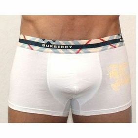 Фото Мужские трусы боксеры белые Burberry Knight