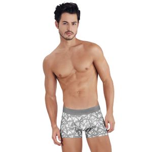 Фото Мужские трусы хипсы серые с принтом Clever Moda GRACE TRUNKS 145612