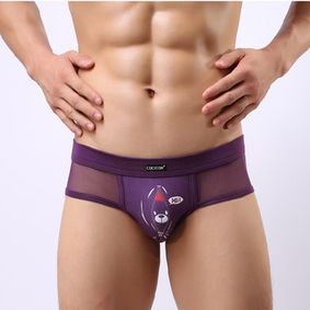 Фото Мужские трусы брифы фиолетовые в сетку с рисунком Cockcon Unzip-Me Brief Violet 650