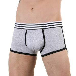 Фото Мужские трусы боксеры серые Romeo Rossi RR6062-3