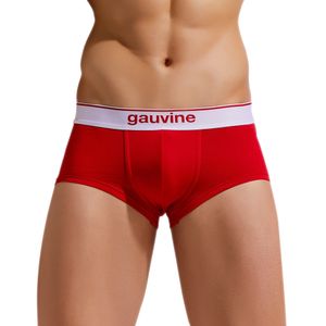 Фото Мужские трусы хипсы красные GAUVINE 3000
