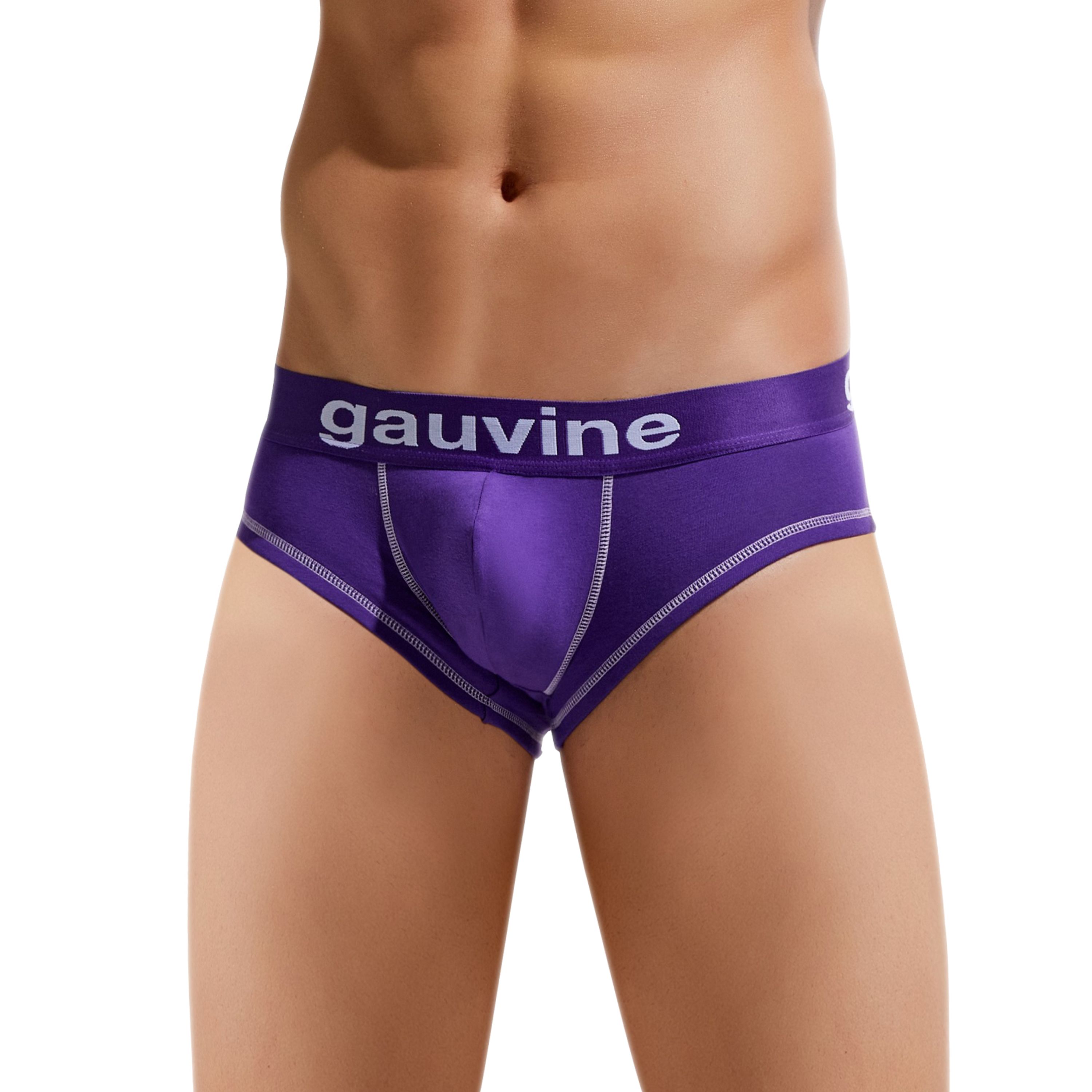 Мужские трусы брифы фиолетовые GAUVINE 3023 фото 1