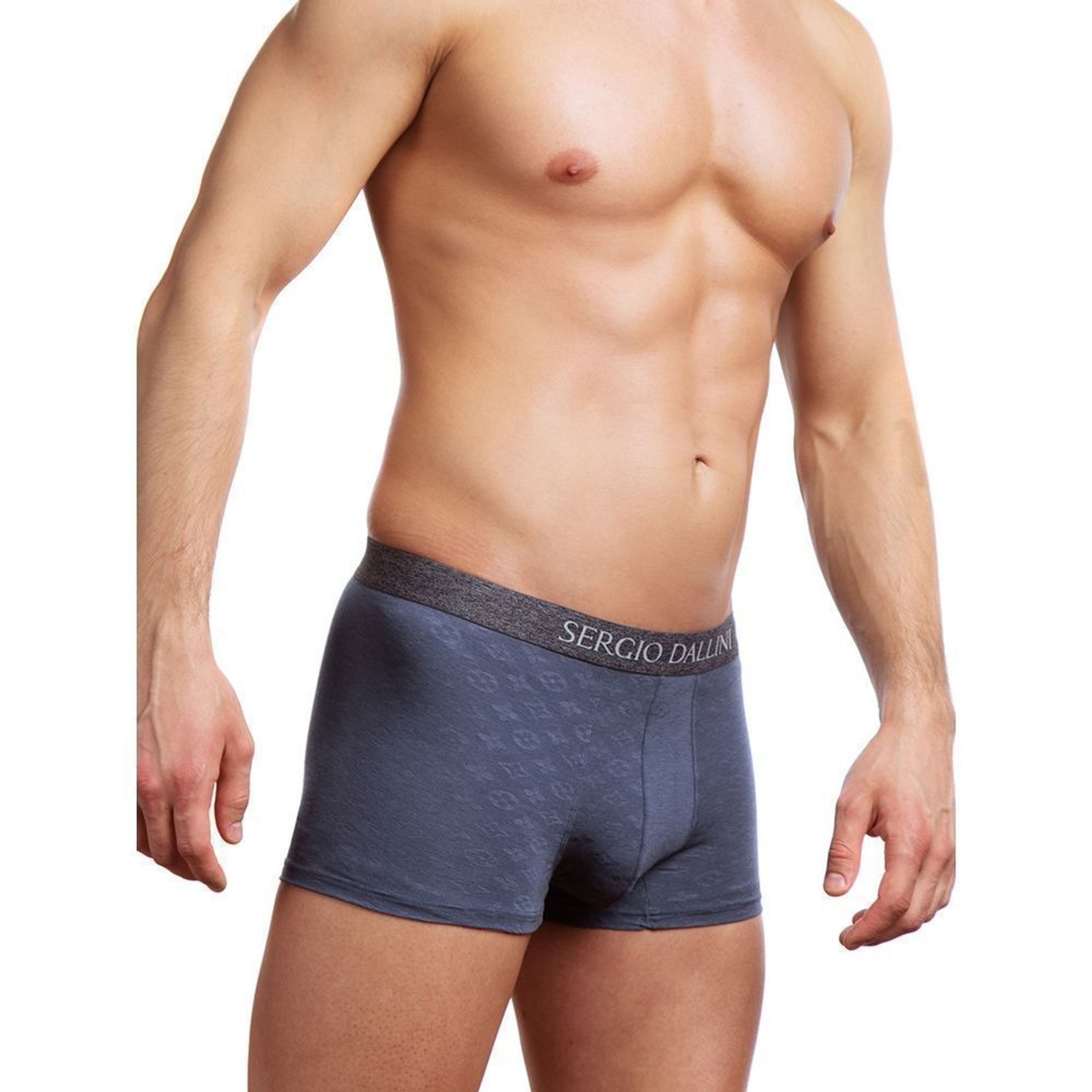 Мужские трусы боксеры серые Sergio Dallini SG2308-1 фото 2