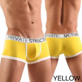 Фото Мужские трусы хипсы Private Structure Spectrum Low Rise Trunk Yellow PST0001