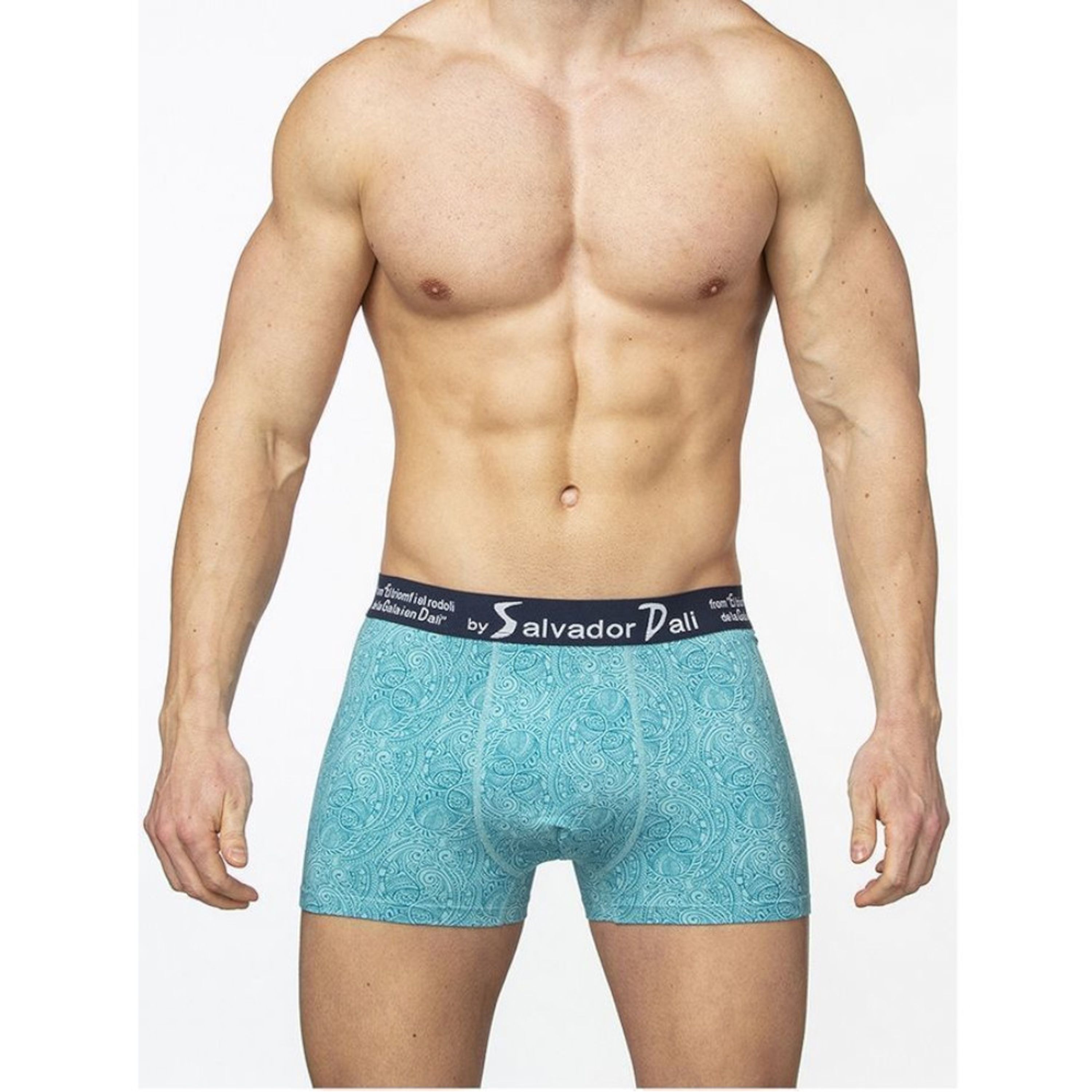 Мужские трусы боксеры бирюзовые Salvador Dali SD2055-2  фото 1