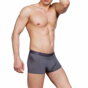 Фото Мужские трусы боксеры серые Sergio Dallini SG2302-2