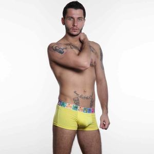 Фото Мужские трусы боксеры желтые Angry Birds Yellow