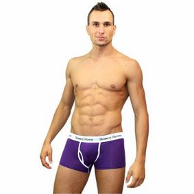 Фото Мужские трусы боксеры баклажановые Romeo Rossi Boxer Brief RR365-5