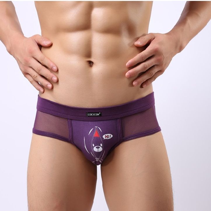 Мужские трусы брифы фиолетовые в сетку с рисунком Cockcon Unzip-Me Brief Violet 650 