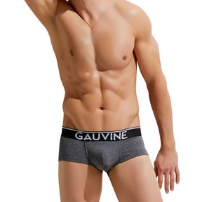 Фото Мужские трусы хипсы темно-серые меланж GAUVINE 3005