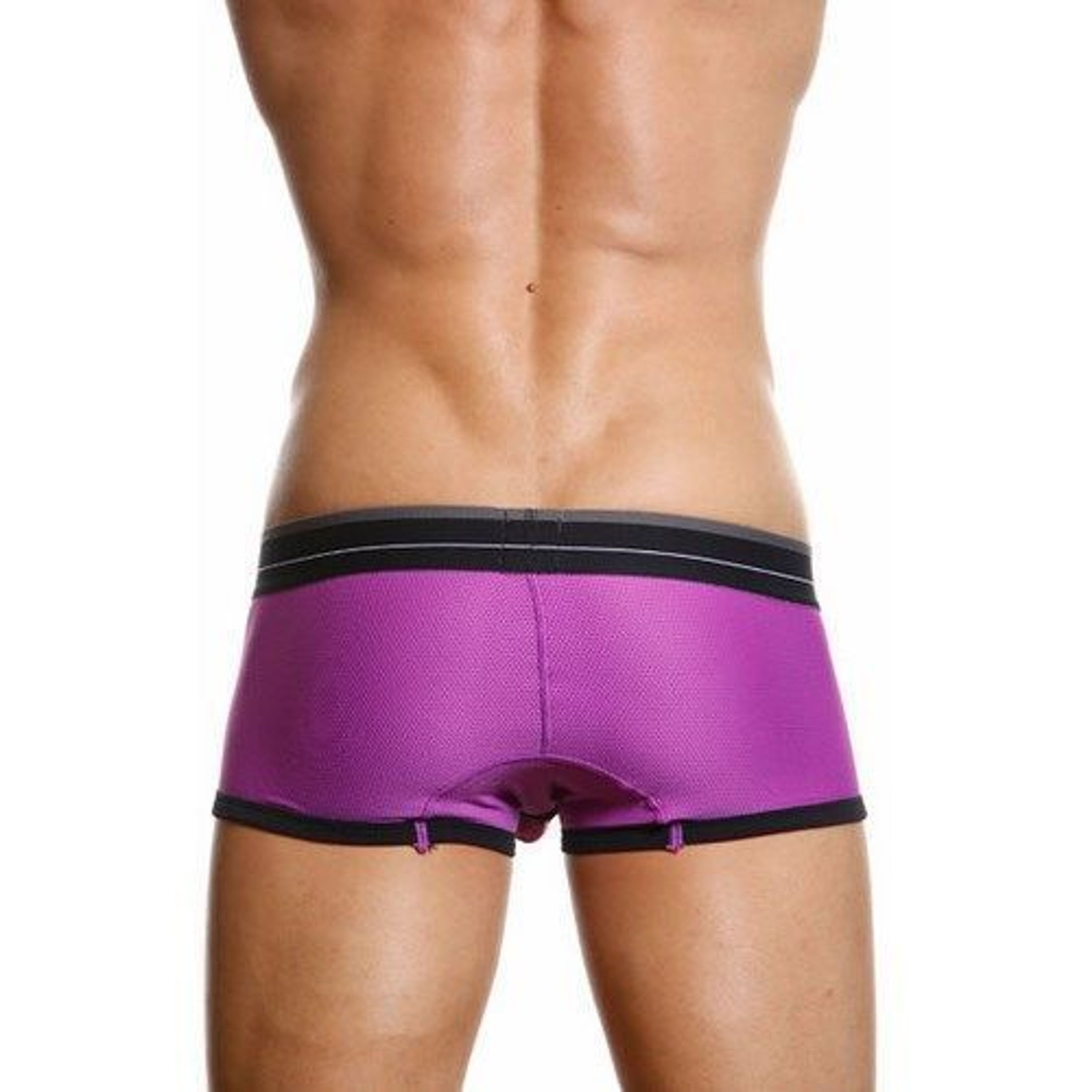 Мужские трусы хипсы фиолетовые в сетку TOOT Nylon Sport Hip Boxer TT00077 фото 2