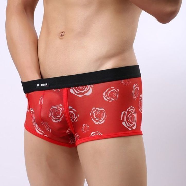 Tommy Dix Boxer