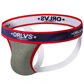 Фото Мужские трусы джоки серые ORLVS OR137-3