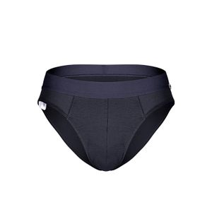 Фото Мужские трусы брифы темно-серые DARKZONE DZNBM6308