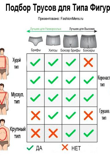 Как выбрать трусы для типа фигуры мужчины