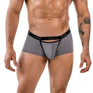 Фото Мужские трусы хипсы серые Clever Moda TOKIO LATIN BOXER 186613