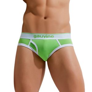 Фото Мужские трусы брифы зеленые GAUVINE 2002