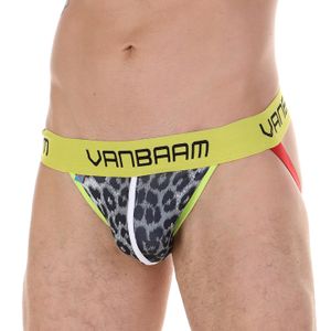 Фото Мужские джоки серые с леопардовым принтом Van Baam VB45151