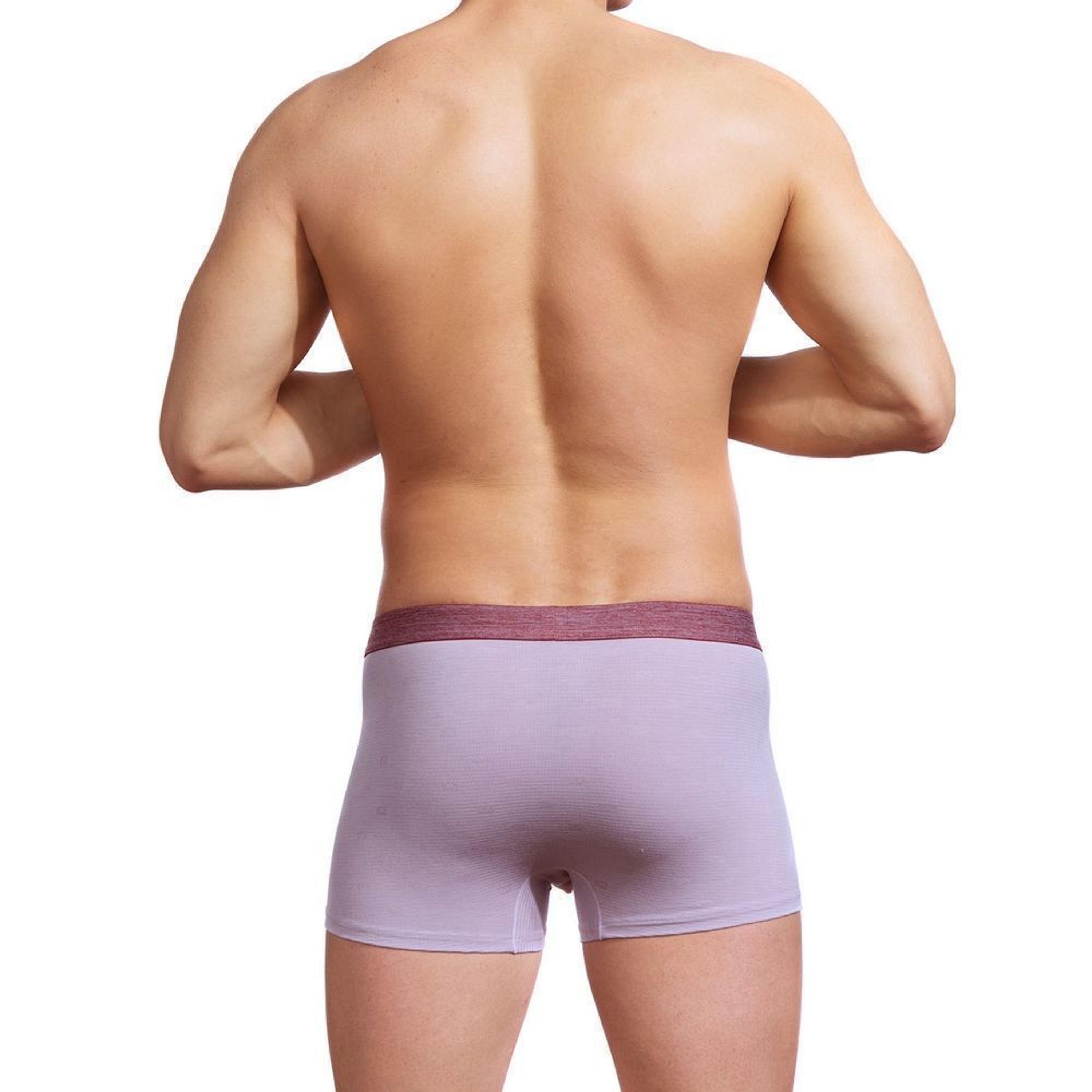 Мужские трусы боксеры сиреневые Sergio Dallini SG2305-2 фото 3