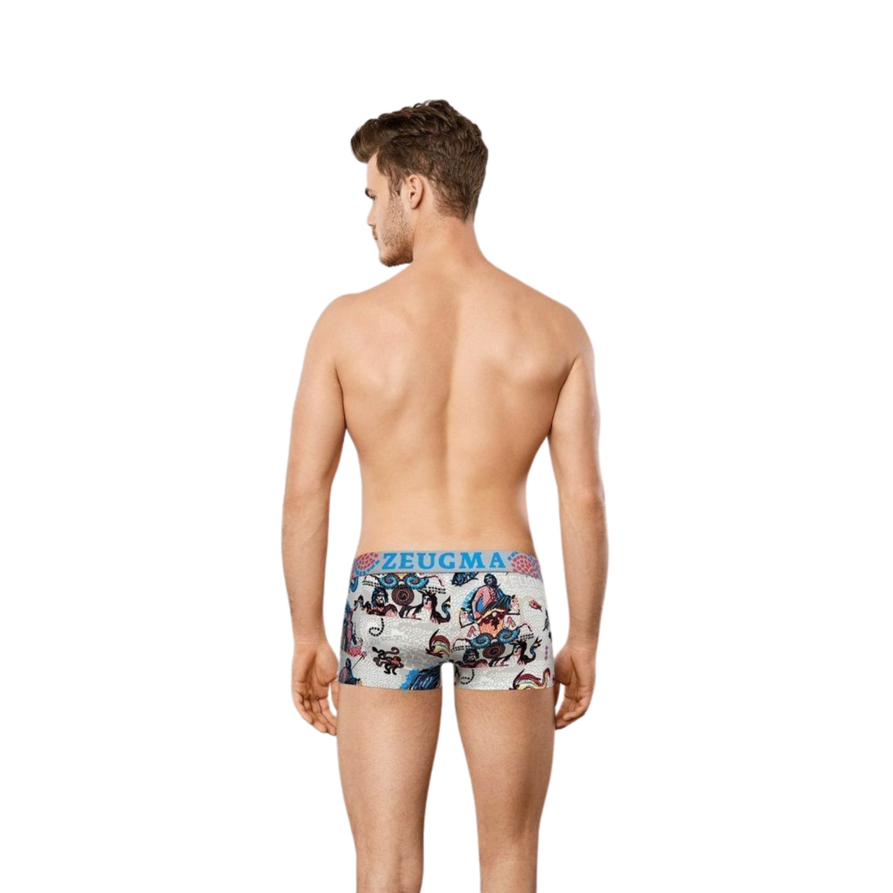 Мужские трусы хипсы серые с принтом Doreanse 1701 фото 2