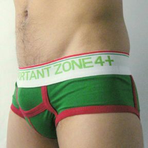 Фото Мужские трусы брифы 4+ Private Important Zone Green 