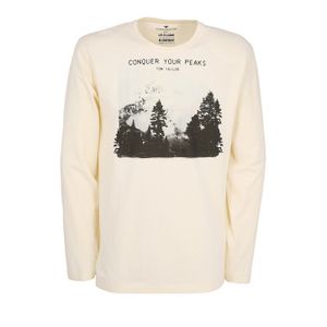 Фото Мужская фуфайка бежевая с принтом Tom Tailor 70931/5609 131