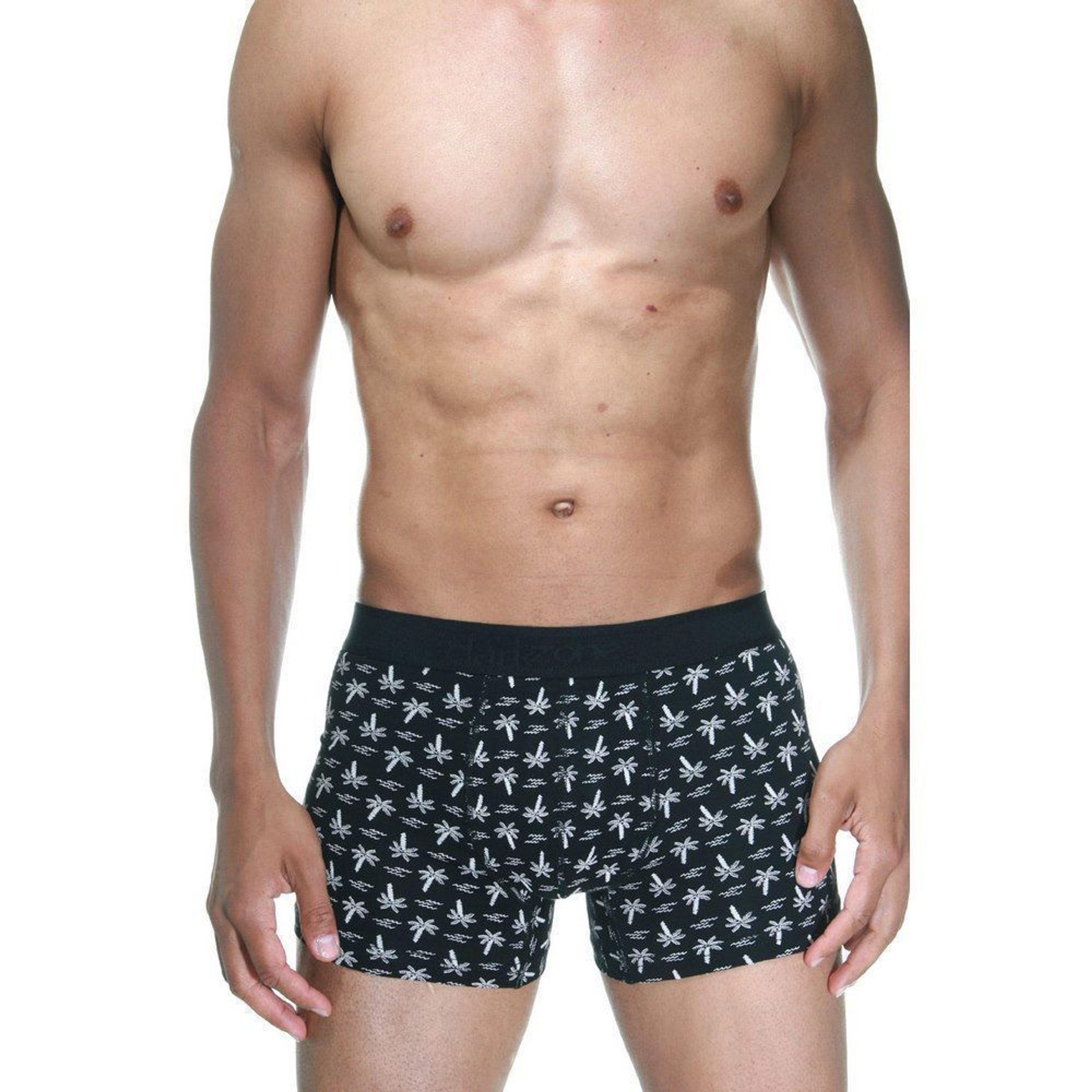 Набор мужских трусов боксеров 3в1 (черные с принтом, светло-серые, черные) DARKZONE DZN9002 фото 1