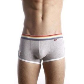 Фото  Мужские трусы хипсы серые Paul Smith Trunk Grey