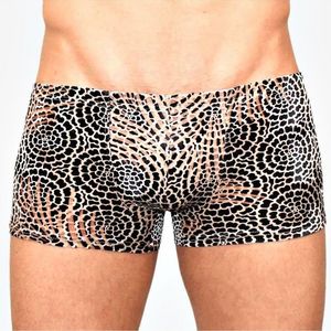 Фото Мужские трусы боксеры черные с узором под велюр Romeo Rossi Boxer RR00229 Фото Мужские трусы боксеры черные с узором под велюр Romeo Rossi Boxer RR00229