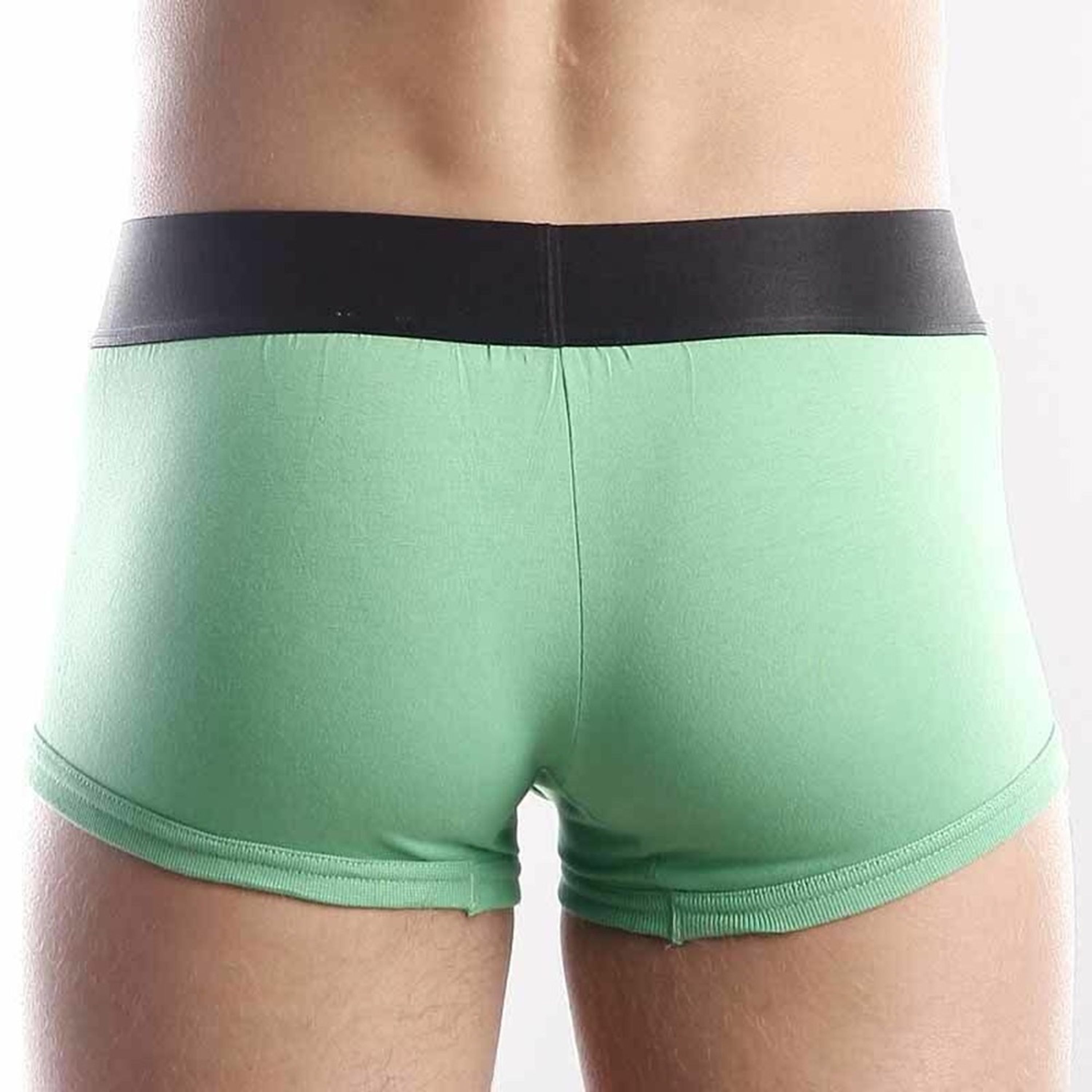  Мужские трусы боксеры зеленые с черной резинкой Calvin Klein Steel Green Black Waistband Boxer фото 4