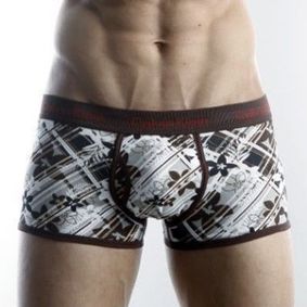 Фото  Мужские трусы боксеры Calvin Klein 365 print  November Flowers Brown