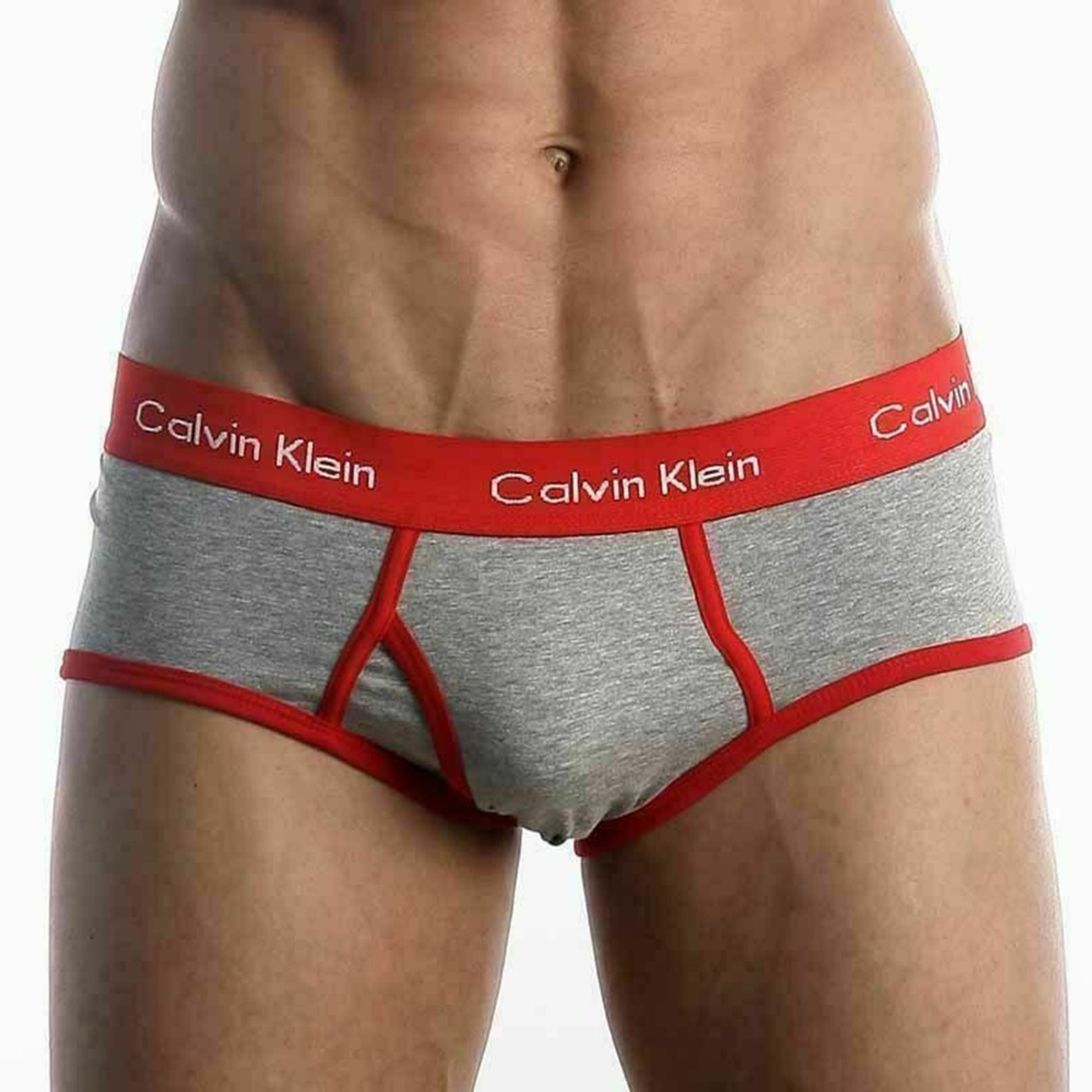 Мужские трусы брифы Calvin Klein 365 Grey Red Brief фото 2