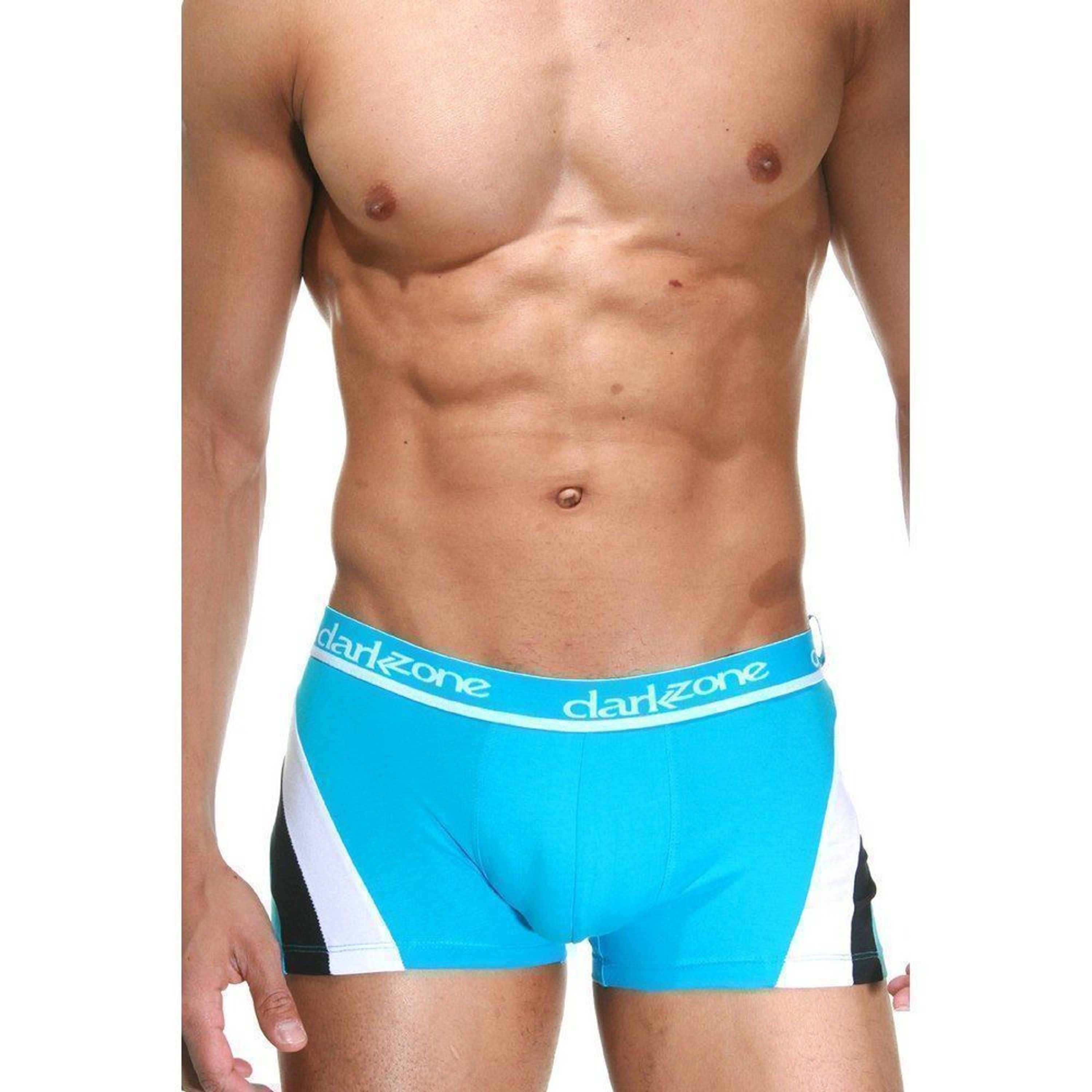Трусы мужские боксеры голубые DARKZONE DZN4105 фото 1