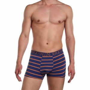 Фото Мужские трусы боксеры синие в полоску Sergio Dallini SG2929-3