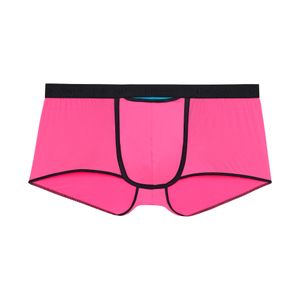 Фото Мужские трусы хипсы розовые HOM PLUME UP Trunk HO1 up 402373_401128