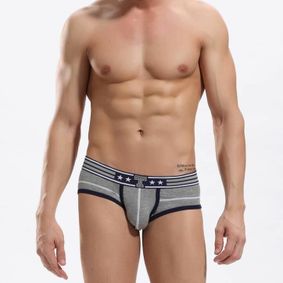 Фото Мужские трусы брифы серые TOOT Sport Binder Brief Grey