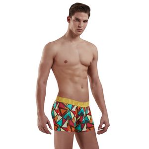 Фото Мужские трусы боксеры мультиколор Doreanse 1873 Фото Мужские трусы боксеры мультиколор Doreanse 1873