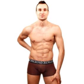 Фото Мужские трусы боксеры коричневые Romeo Rossi Bik Brown Boxers RR5002-15