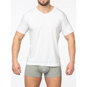 Фото Мужская футболка белая Sergio Dallini SDT751-1