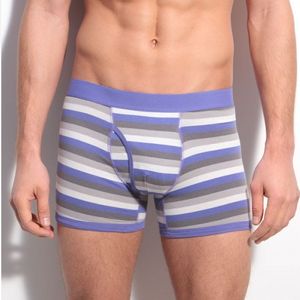 Фото Мужские трусы боксеры индиго в полоску Bottoms Out EZ51246BB Фото Мужские трусы боксеры индиго в полоску Bottoms Out EZ51246BB