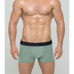 Фото Мужские трусы боксеры зеленые Salvador Dali SD2017-3