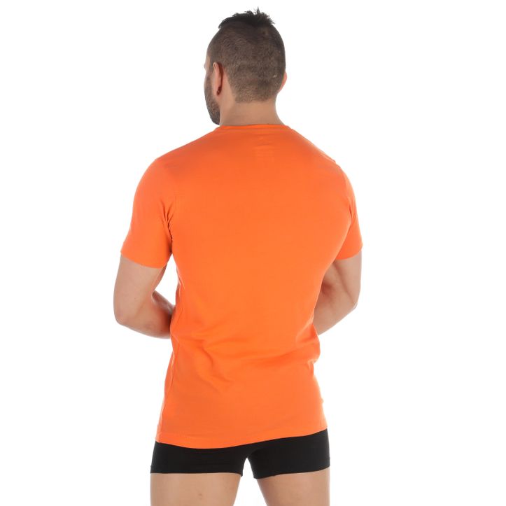 Мужская футболка оранжевая Tom Tailor 70974/5624 411 фото 2