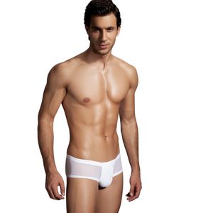 Фото Мужские трусы брифы белые Doreanse 1584 Фото Мужские трусы брифы белые Doreanse 1584