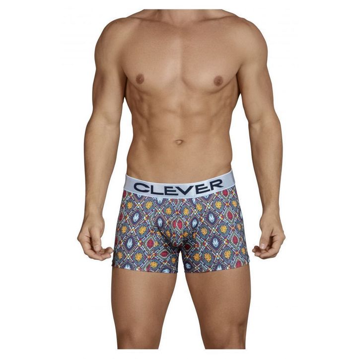 Мужские трусы боксеры синие с узором Clever Tradition Boxer 244207 