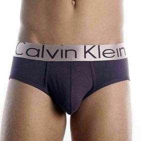 Фото Мужские трусы брифы Calvin Klein Brief Steel Purple